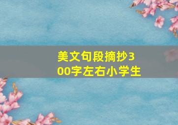 美文句段摘抄3 00字左右小学生